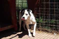 IMG-20250809-WA0089