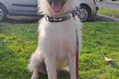 IMG-20250518-WA0020