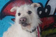 IMG-20250518-WA0024
