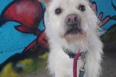 IMG-20250518-WA0025