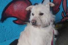 IMG-20250518-WA0026