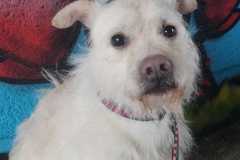 IMG-20250518-WA0027
