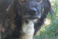 IMG-20250724-WA0026