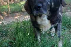 IMG-20250724-WA0030