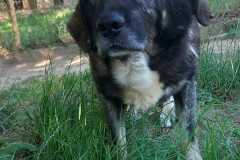 IMG-20250724-WA0031