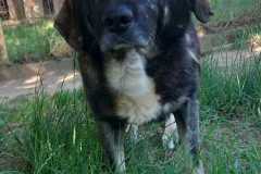 IMG-20250724-WA0032