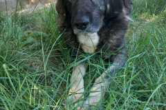 IMG-20250724-WA0033