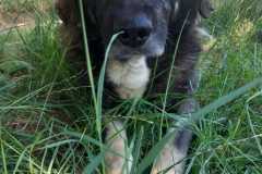 IMG-20250724-WA0036