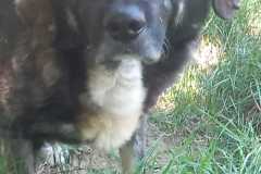 WhatsApp-Bild-2025-07-24-um-10.36.10_8b616e73