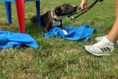 IMG-20250804-WA0021
