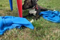IMG-20250804-WA0022