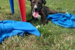 IMG-20250804-WA0023