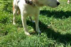 IMG-20250809-WA0050