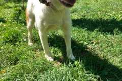 IMG-20250809-WA0052