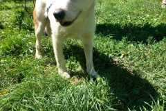 IMG-20250809-WA0053