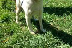 IMG-20250809-WA0054