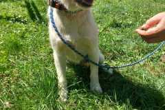 IMG-20250809-WA0058