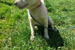 IMG-20250809-WA0059