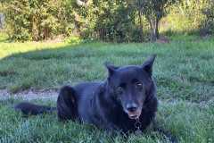 IMG-20250809-WA0008