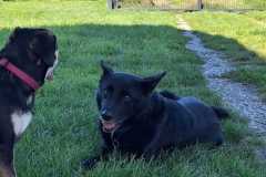 IMG-20250809-WA0009