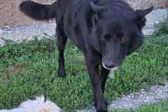 IMG-20250809-WA0012
