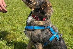 IMG-20250529-WA0014