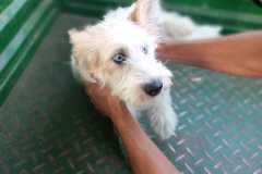 IMG-20250830-WA0002
