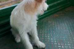 IMG-20250830-WA0003