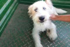 IMG-20250830-WA0004