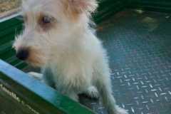 IMG-20250830-WA0005