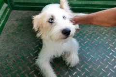 IMG-20250830-WA0007