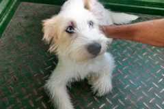 IMG-20250830-WA0009