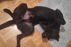 IMG-20250622-WA0015