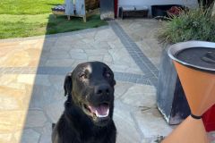 IMG-20250622-WA0016
