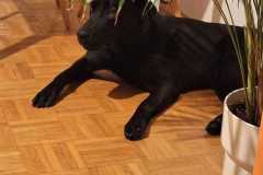 IMG-20250622-WA0018