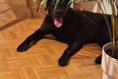 IMG-20250622-WA0020