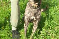 IMG-20250425-WA0018