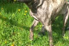 IMG-20250425-WA0019