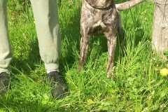 IMG-20250425-WA0020