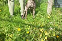 IMG-20250425-WA0021