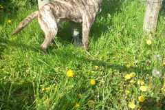 IMG-20250425-WA0022