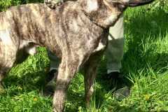 IMG-20250425-WA0024