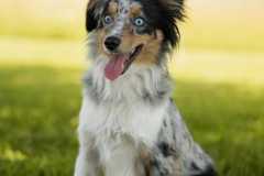 IMG-20250522-WA0038