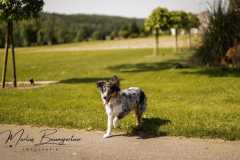IMG-20250522-WA0039