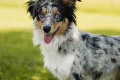 IMG-20250522-WA0040