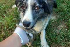 IMG-20250815-WA0047