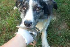IMG-20250815-WA0048