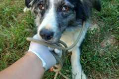 IMG-20250815-WA0049