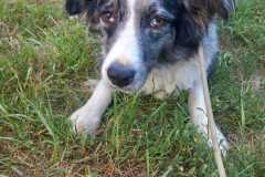 IMG-20250815-WA0050