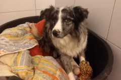 IMG-20250815-WA0051